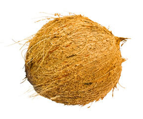 Coconut isolated