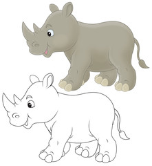 Grey rhinoceros