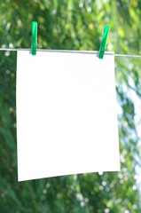 Biała kartka na sznurku do prania - obrazy, fototapety, plakaty