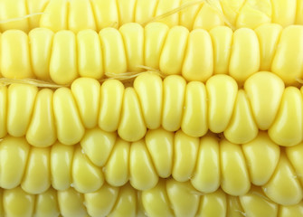 Corn background