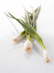 Fresh green leek on white background