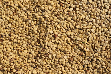 Coffee bean