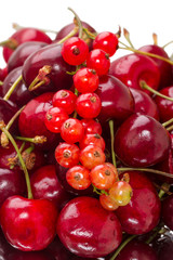 Cherry and red currant
