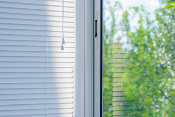 window blinds