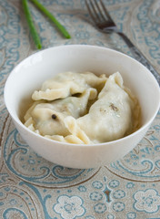 Dumplings with meat and green onions