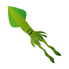 squid on a white background © Basthamp