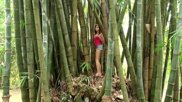 Girl at the Bamboo thickets