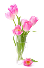 Pink tulips bouquet in vase isolated on white background