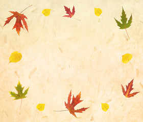 Autumn paper with leaves background