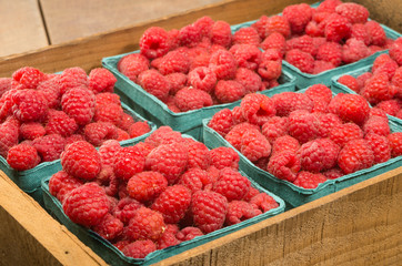Fresh red raspberries on display at the market