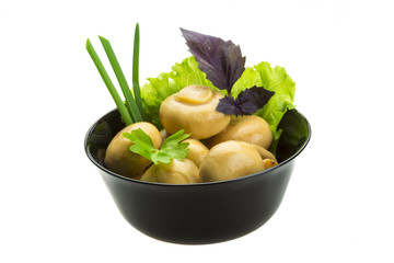 Ripe fresh Champignon