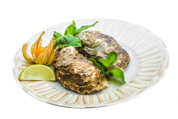 Fresh oyster