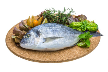 Fresh raw dorada