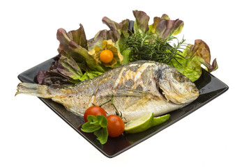 Dorado grilled