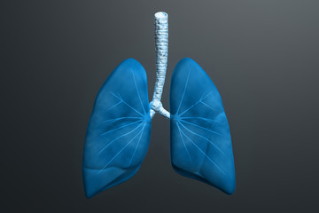 Human lungs in color background