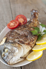 Fried (roasted) Fish (Dorado) Garnished with Lemon, Tomato