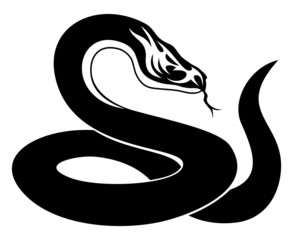 Naklejka premium Black snake.