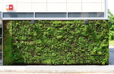 Green wall building