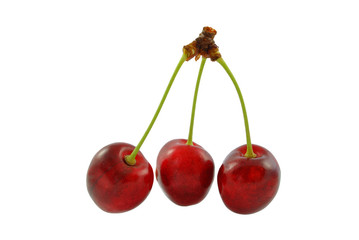 czereśnie  na białym tle
