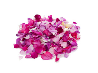 rose petals of different colors isolated on white
