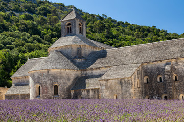 Abbaye de Sénanque and lavender field,  Provence, France