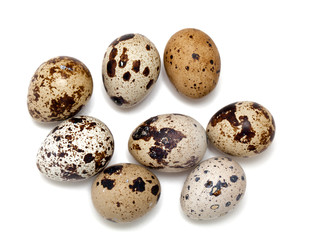 Obraz premium quail eggs isolated on white background
