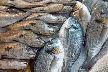 Fresh fish seen at a market in Greece