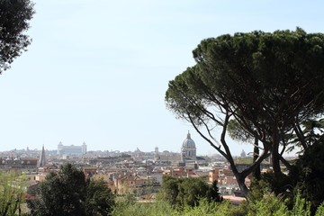 Obraz premium View of Rome