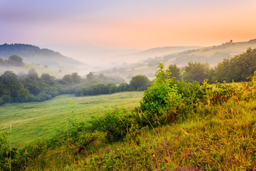 cold fog on hot sunrise in mountains. beautiful summer nature scenery