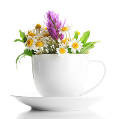 Beautiful wild flowers and mint in cup, isolated on white