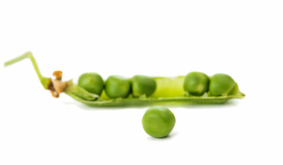 green pea pod