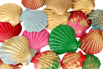 Colorful seashells background