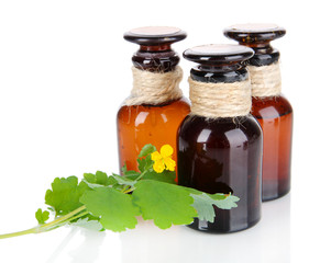 Blooming Celandine with medicine bottles isolated on white