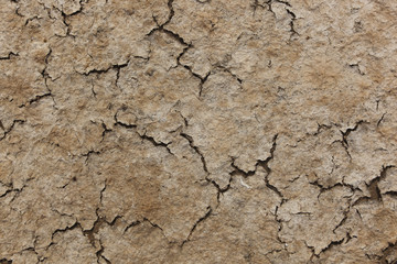 desertificazione