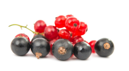 black and red currant isolated