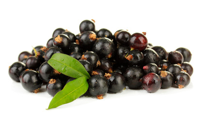Black currant isolated on white