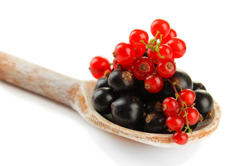 Red and black currant in wooden spoon isolated on white