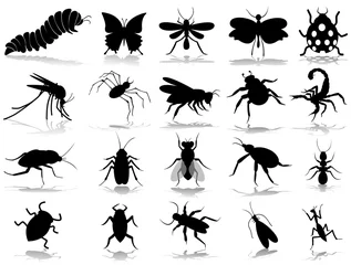 Foto op Plexiglas insect silhouette © mumindurmaz35