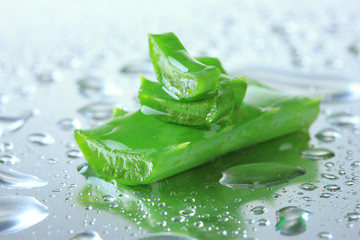 Close up of aloe leaves with drops