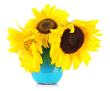 Bright sunflowers in vase isolated on white