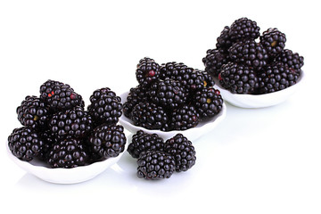 Sweet blackberry in bowl isolated on white