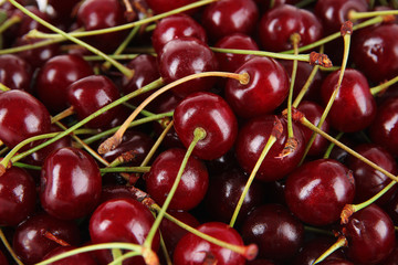 Sweet cherry close-up