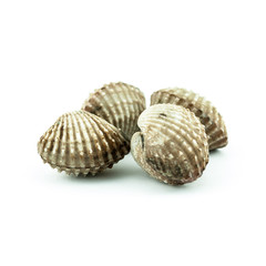 Steamed cockles - cockles isolated on white background