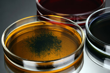 color liquid in petri dishes on grey background