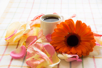 morning Coffee