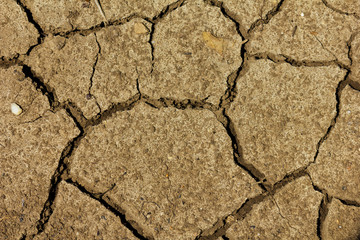Cracked soil