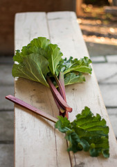 Close Up of Red and Green Rhubarb Stalks Freshly