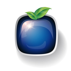 Natural button with green leaves