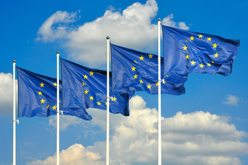 European Union flags - obrazy, fototapety, plakaty