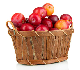 Ripe plums in basket isolated on white